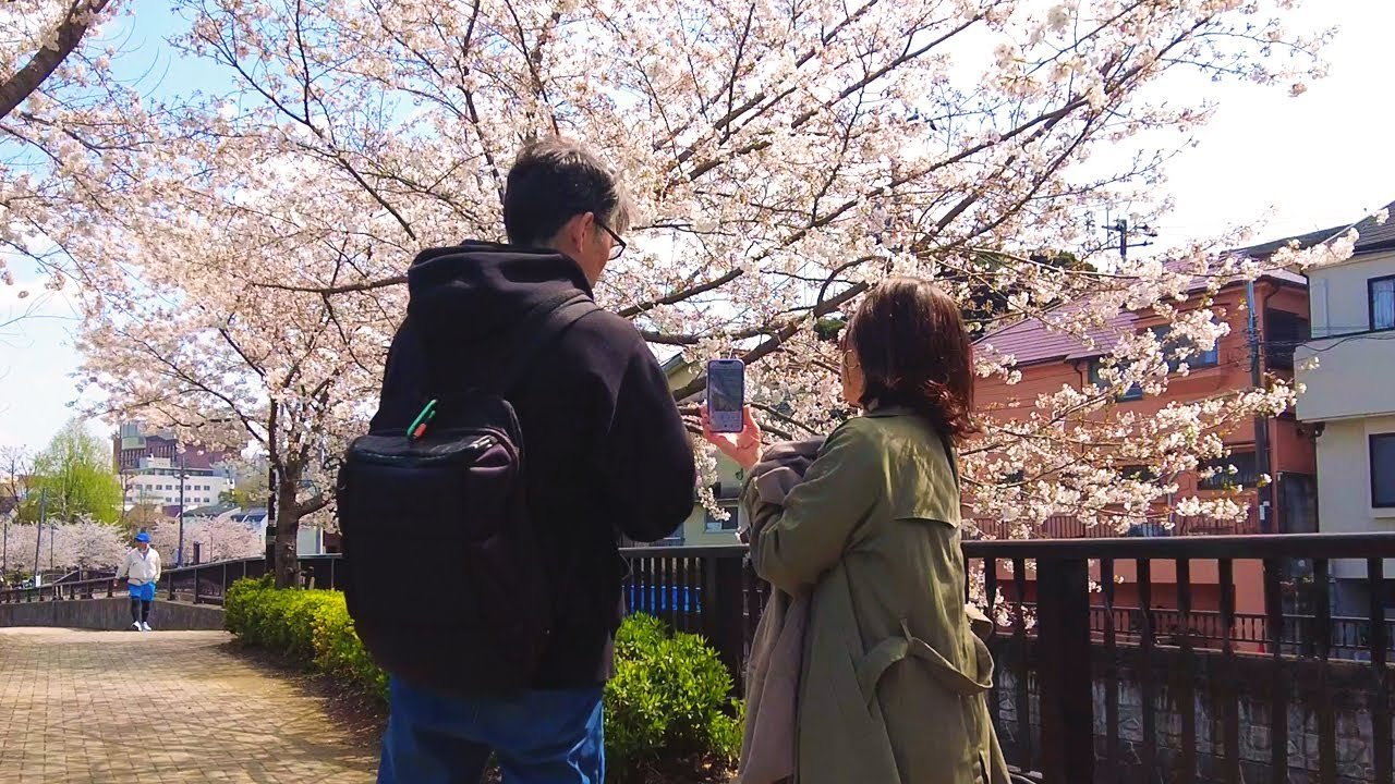 ⛩️ 철학당 공원(테츠가쿠도 코엔) 이미지 20